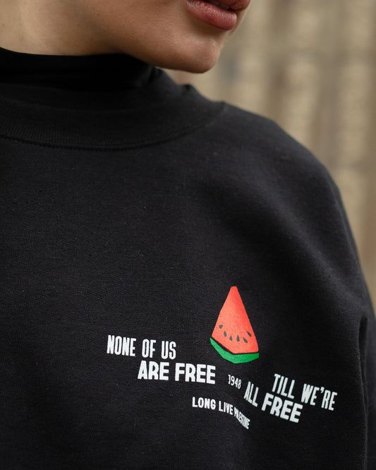 THE WATERMELON CREWNECK